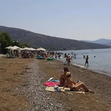 Fofi's House * Κάντια